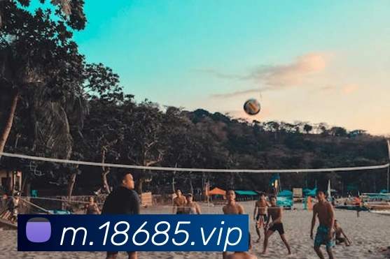 AI Risk Control